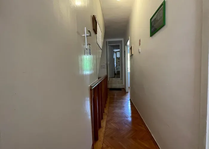 Fleger Obala 아파트